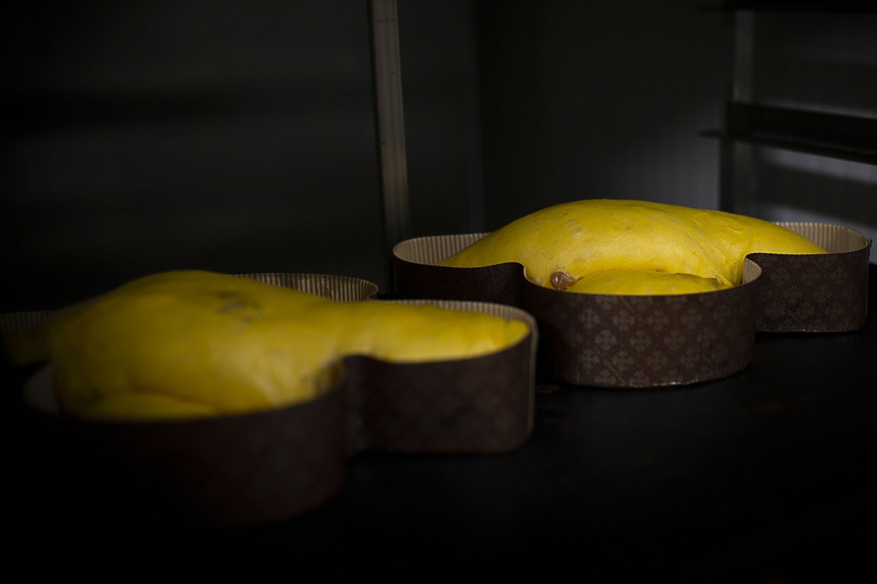 Colomba ready to bake