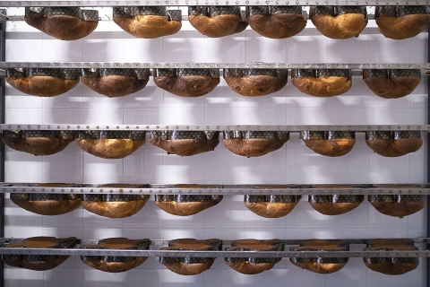 Drying Colomba